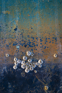 Boats by bulloch.photography