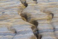 Spittal Beach by bulloch.photography