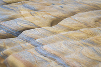 Spittal Beach by bulloch.photography