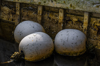 Boats by bulloch.photography