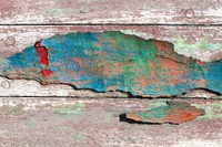 Boats by bulloch.photography