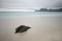 Lofoten by bulloch.photography
