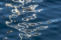 Lofoten reflections by bulloch.photography