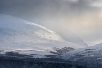 Abisko by bulloch.photography
