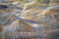 Spittal Beach by bulloch.photography