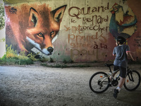 Fox in France by Bulloch Photography