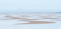 Longniddry Bents by bulloch.photography